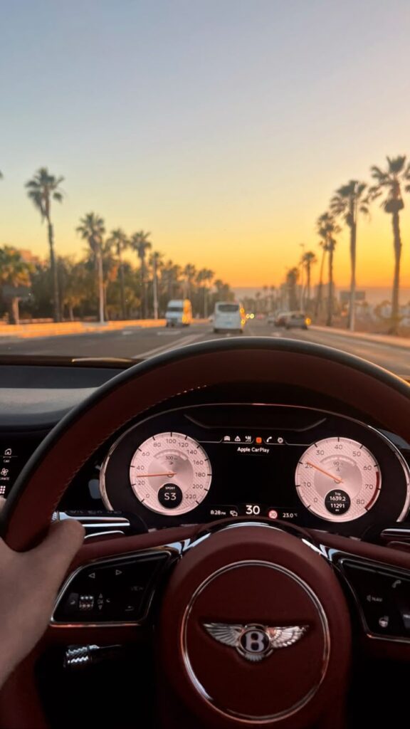 Driving luxury car through palm-lined road at sunset, dashboard and steering wheel in view, showcasing serene evening drive experience.
