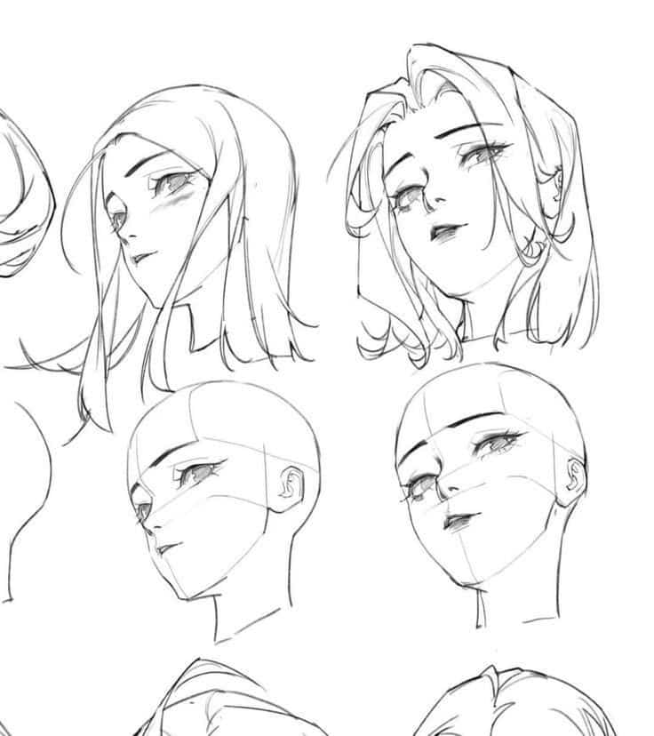 _ 8 Sketches of female anime faces from different angles, showcasing hair and facial features in profile and three-quarter views. | Sky Rye Design Sketches of female anime faces from different angles, showcasing hair and facial features in profile and three-quarter views.