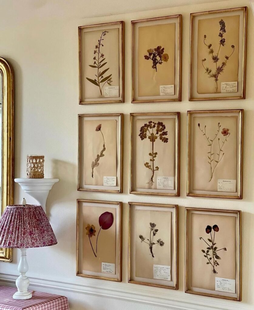 Framed botanical prints on a wall above a decorative lamp, showcasing vintage dried flowers and natural interior design elements.