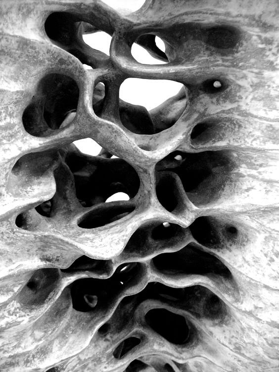 Abstract close-up of a textured, organic structure with intricate holes, resembling a natural rock formation, in black and white.