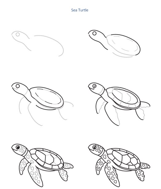93ea7bb14ba2e0db10fb74a55e304780 Step-by-step drawing guide of a sea turtle from outline to detailed sketch, showing the progression in six stages. | Sky Rye Design Step-by-step drawing guide of a sea turtle from outline to detailed sketch, showing the progression in six stages.