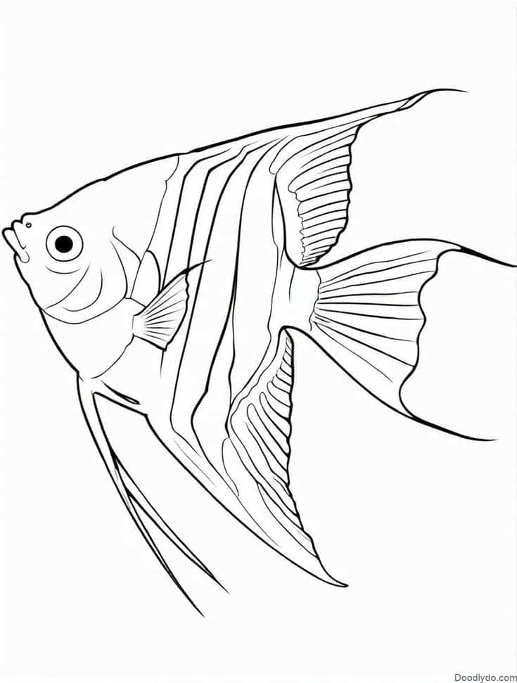 Black and white outline drawing of a detailed angelfish, showcasing elegant fins and stripes. Perfect for coloring or art projects.