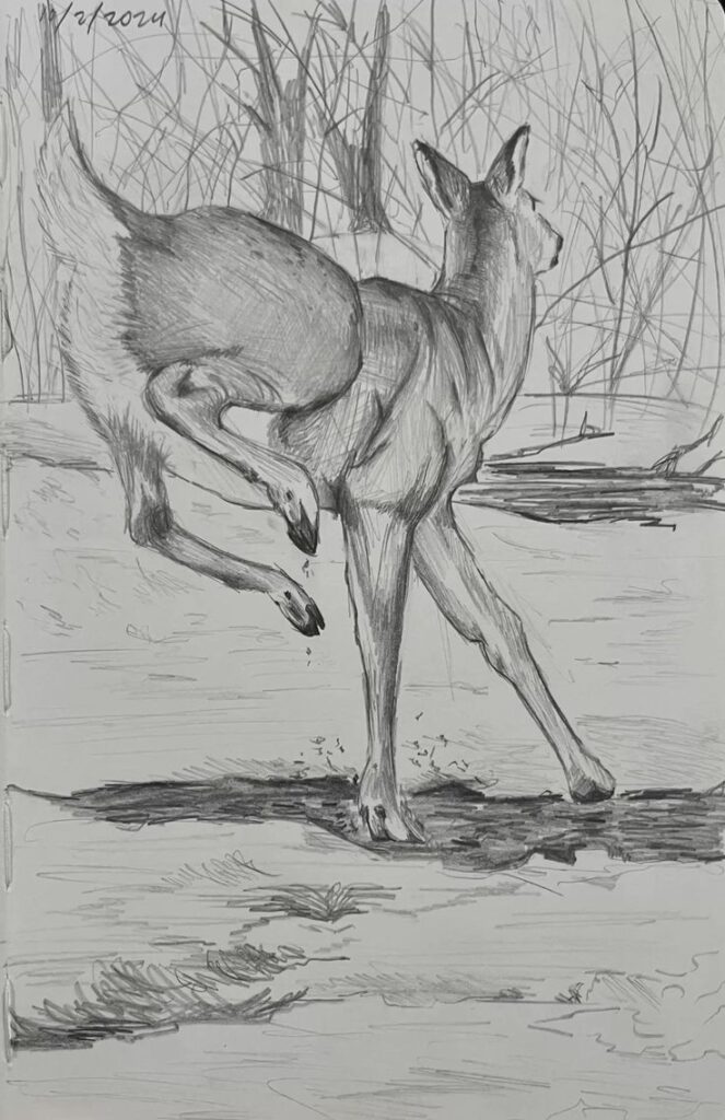 Illustration of a deer gracefully bounding through a snowy forest, captured in detailed pencil sketching.