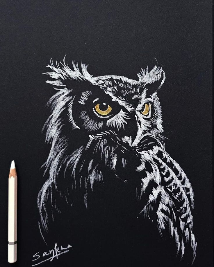 Black and white owl sketch on dark background with white pencil.