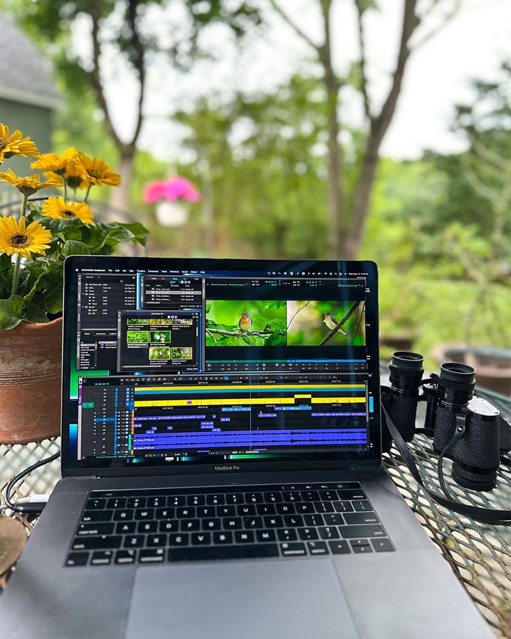 Avid Media Composer - Professional Video Editing Software Laptop with video editing software open, outdoors on a table with flowers and binoculars nearby. | Sky Rye Design Laptop with video editing software open, outdoors on a table with flowers and binoculars nearby.