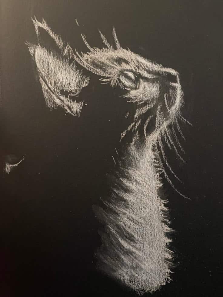 Chalk drawing of a cat in profile on a black background, highlighting its detailed fur and focused expression.