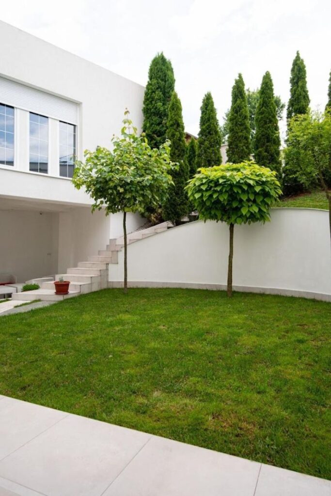 Modern backyard with green lawn, landscaped trees, and sleek white walls, creating a serene outdoor space ideal for relaxation.
