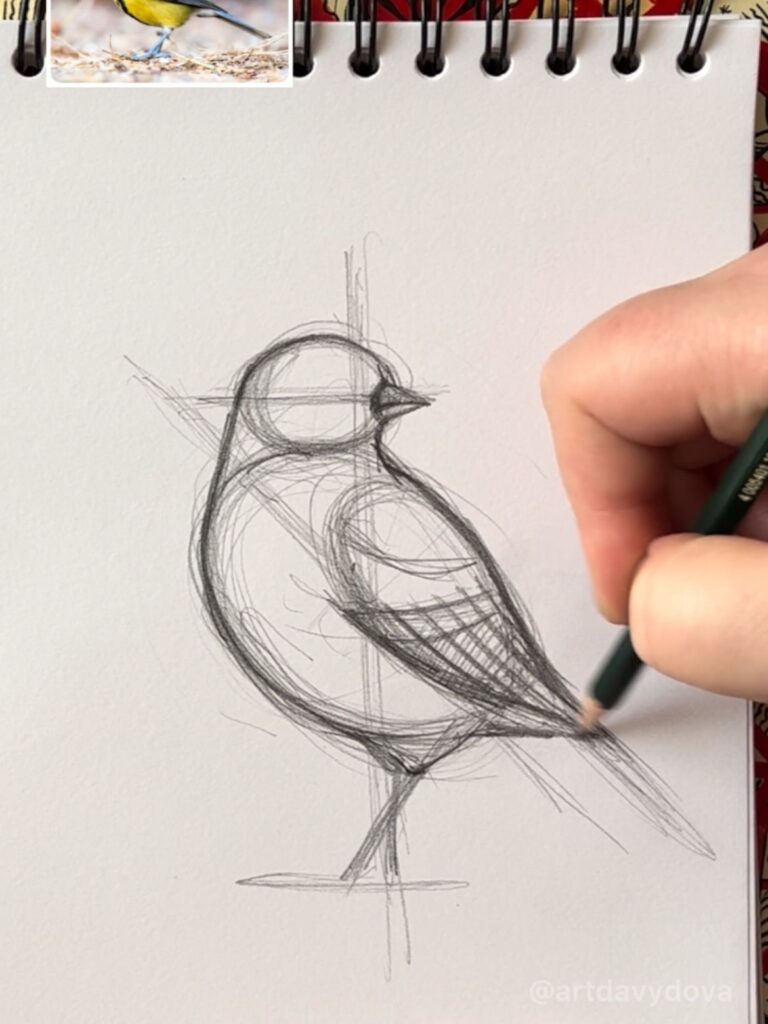 Draw Realistic Birds 5 Hand sketching a bird on paper with an inspiration photo in the corner, illustrating art technique and creativity in drawing. | Sky Rye Design Hand sketching a bird on paper with an inspiration photo in the corner, illustrating art technique and creativity in drawing.
