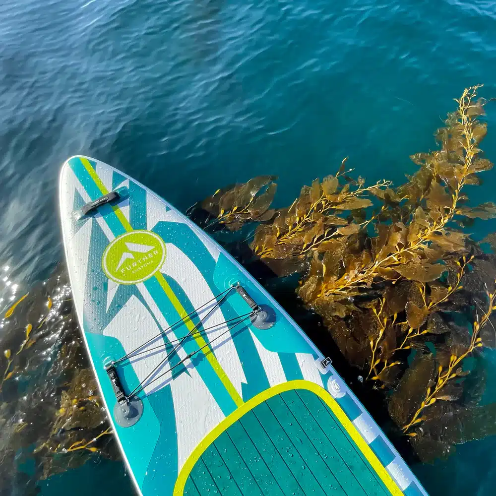 Stand-up paddleboard gliding through clear blue water alongside vibrant seaweed on a sunny day.