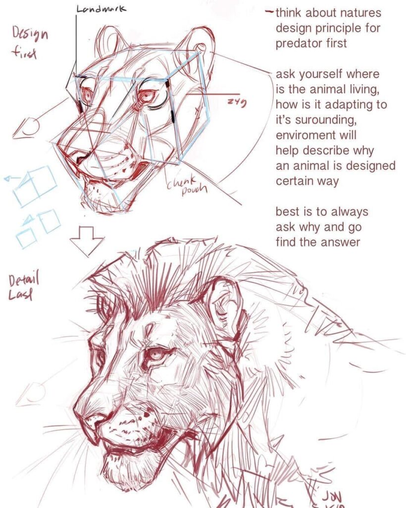 Illustration of lioness design principles and anatomy, highlighting environmental adaptation and predator features.