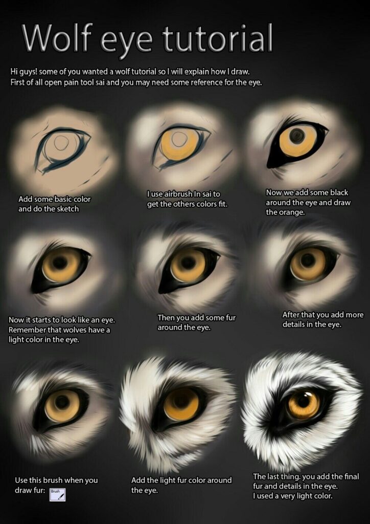 Tutorial image showing step-by-step process to draw a realistic wolf eye using digital painting techniques and shading.
