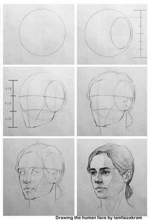 Human Face Tutorial Step-by-step guide to drawing a human face from basic shapes to detailed features. | Sky Rye Design Step-by-step guide to drawing a human face from basic shapes to detailed features.