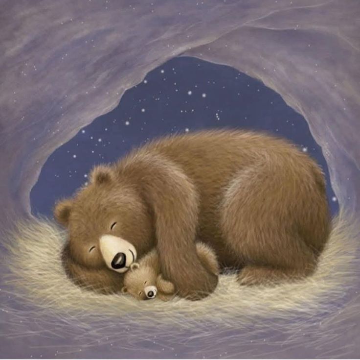 Illustration by Gail Yerrill Illustration of a mother bear and cub sleeping in a cozy cave under a starry night sky, capturing warmth and serenity in nature. | Sky Rye Design Illustration of a mother bear and cub sleeping in a cozy cave under a starry night sky, capturing warmth and serenity in nature.