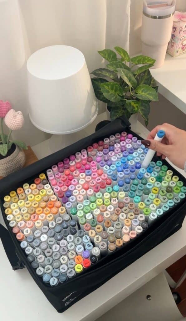 Ohuhu Markers 320 set 😍 Colorful markers in an organized case on a desk with a hand selecting one, next to a lamp and potted plant. | Sky Rye Design Colorful markers in an organized case on a desk with a hand selecting one, next to a lamp and potted plant.