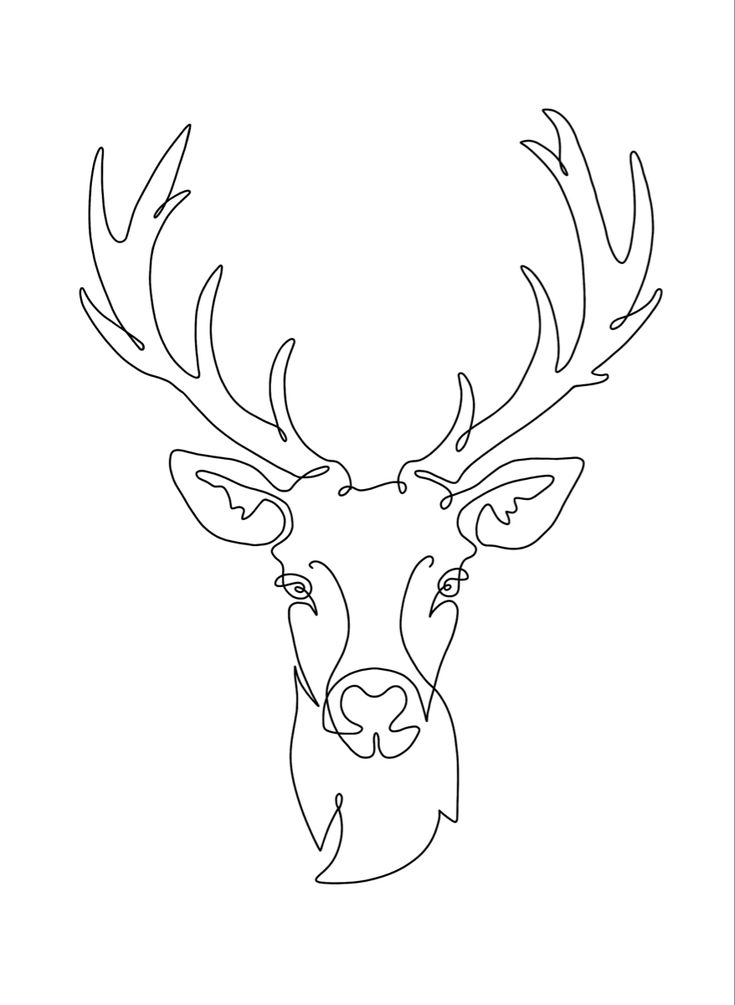 Minimalist one-line drawing of a deer with antlers on a white background.