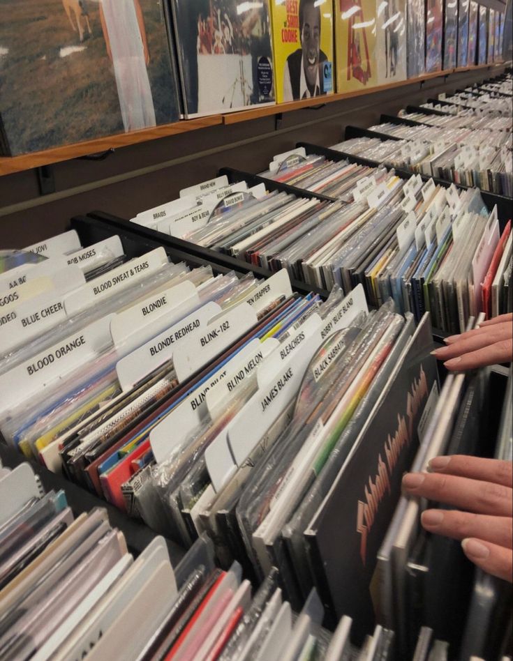 Record store Person browsing vinyl records in a music store, showcasing various artists like Blink-182 and Blondie on organized shelves. | Sky Rye Design Person browsing vinyl records in a music store, showcasing various artists like Blink-182 and Blondie on organized shelves.