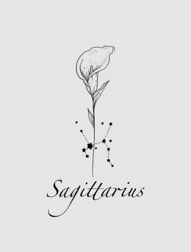 Illustration of a calla lily with the Sagittarius constellation, featuring elegant script text of Sagittarius below.