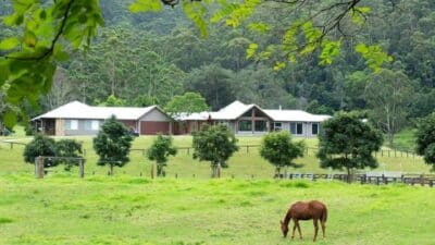 House in lush countryside surrounded by trees and grazing horse, set against a forested hill backdrop. Ideal rural retreat setting.