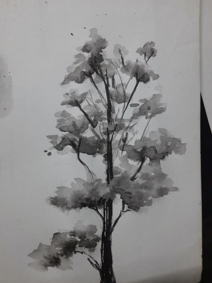 Ink painting of a tree on paper, showcasing delicate branches and leaves in monochrome, highlighting traditional art techniques.