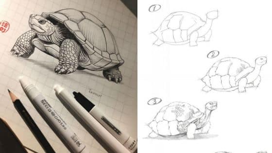Viewing Deck Blog - 2025-11-14T225739858 Side-by-side turtle drawing and tutorial; left shows detailed art, right offers a step-by-step sketch guide, pens and pencils nearby. | Sky Rye Design Side-by-side turtle drawing and tutorial; left shows detailed art, right offers a step-by-step sketch guide, pens and pencils nearby.