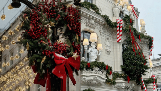 Viewing Deck Blog | Sky Rye Design