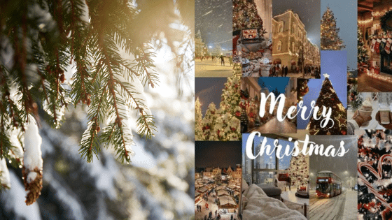 Viewing Deck Blog копия 19 Festive collage with snow-dusted pine branches and Christmas scenes, wishing a Merry Christmas amid snowy landscapes and holiday decor. | Sky Rye Design Festive collage with snow-dusted pine branches and Christmas scenes, wishing a Merry Christmas amid snowy landscapes and holiday decor.