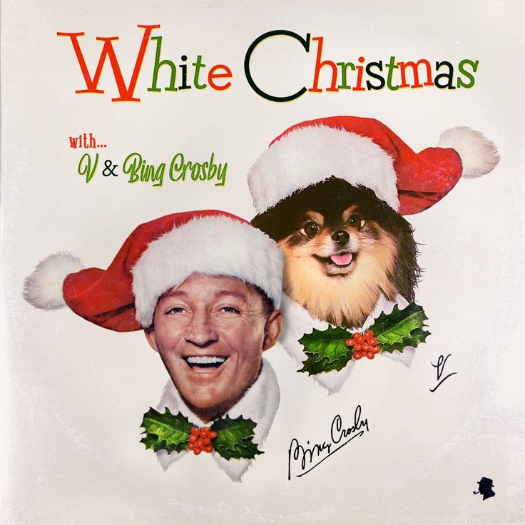 White Christmas - V Bing Crosby__Dec 6 2PM KST _ 0AM ET__BingXV 뷔 V BingCrosby_AVeryVChristmas WhiteChristmasWithBingV Festive album cover featuring two figures in Santa hats, holiday-themed attire, and White Christmas title text. | Sky Rye Design Festive album cover featuring two figures in Santa hats, holiday-themed attire, and White Christmas title text.