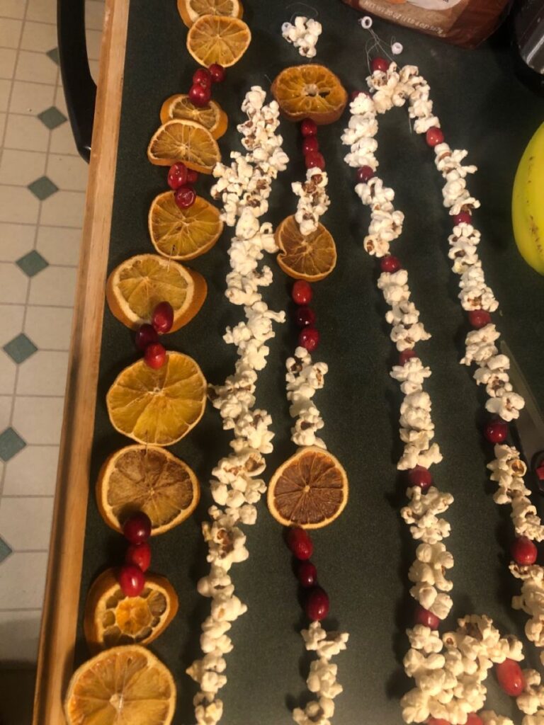 a6f17727e32d97b77455ea94cd38775a Dried orange slices, popcorn, and cranberries strung together, creating a festive and natural garland on a tabletop. | Sky Rye Design Dried orange slices, popcorn, and cranberries strung together, creating a festive and natural garland on a tabletop.