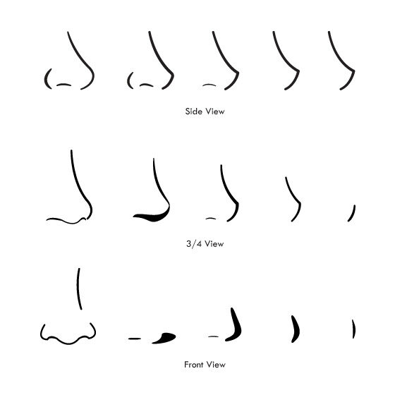 Various anime nose drawings in side, 3/4, and front views showcasing different styles and shapes for artistic reference.
