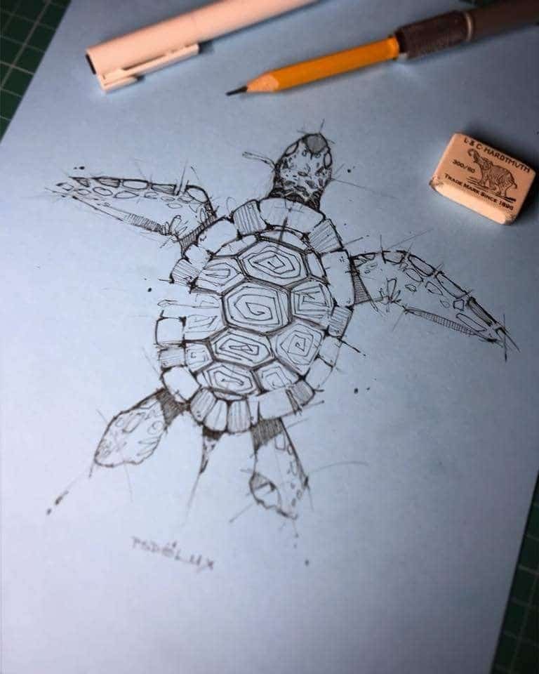 b44e780d304fea115bc700c3ad78f3db Ink drawing of a turtle on blue paper, surrounded by a pencil and eraser, showcasing artistic creativity in illustration. | Sky Rye Design Ink drawing of a turtle on blue paper, surrounded by a pencil and eraser, showcasing artistic creativity in illustration.