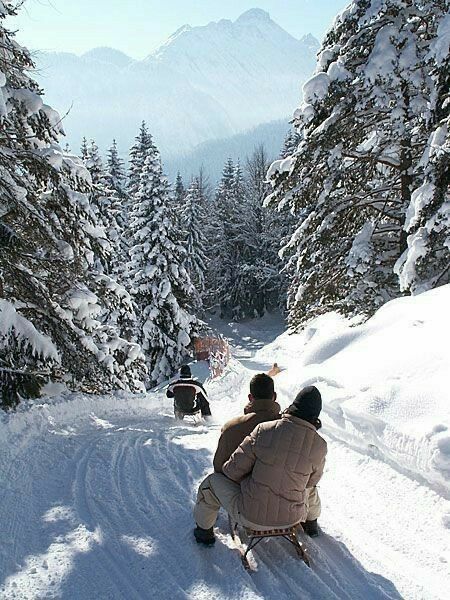 People sledding down a snowy forest path with mountains in the background, enjoying a winter adventure under a clear blue sky.
