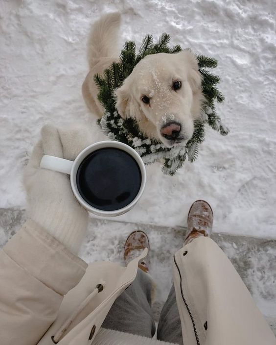 ellie ✨ | Sky Rye Design