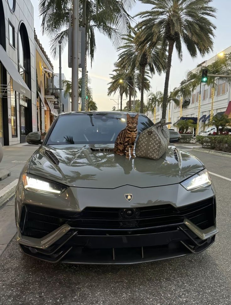 Luxury car with a stylish bag and a cat on the hood, surrounded by palm trees on a chic urban street.