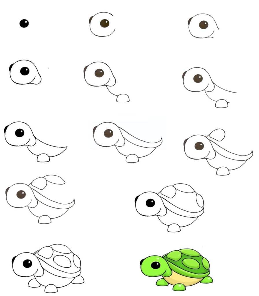 f8a91e1a58435d4c90719ee6dfb88d45 Step-by-step guide to drawing a cute cartoon turtle, showing progression from simple shapes to a colorful, finished illustration. | Sky Rye Design Step-by-step guide to drawing a cute cartoon turtle, showing progression from simple shapes to a colorful, finished illustration.