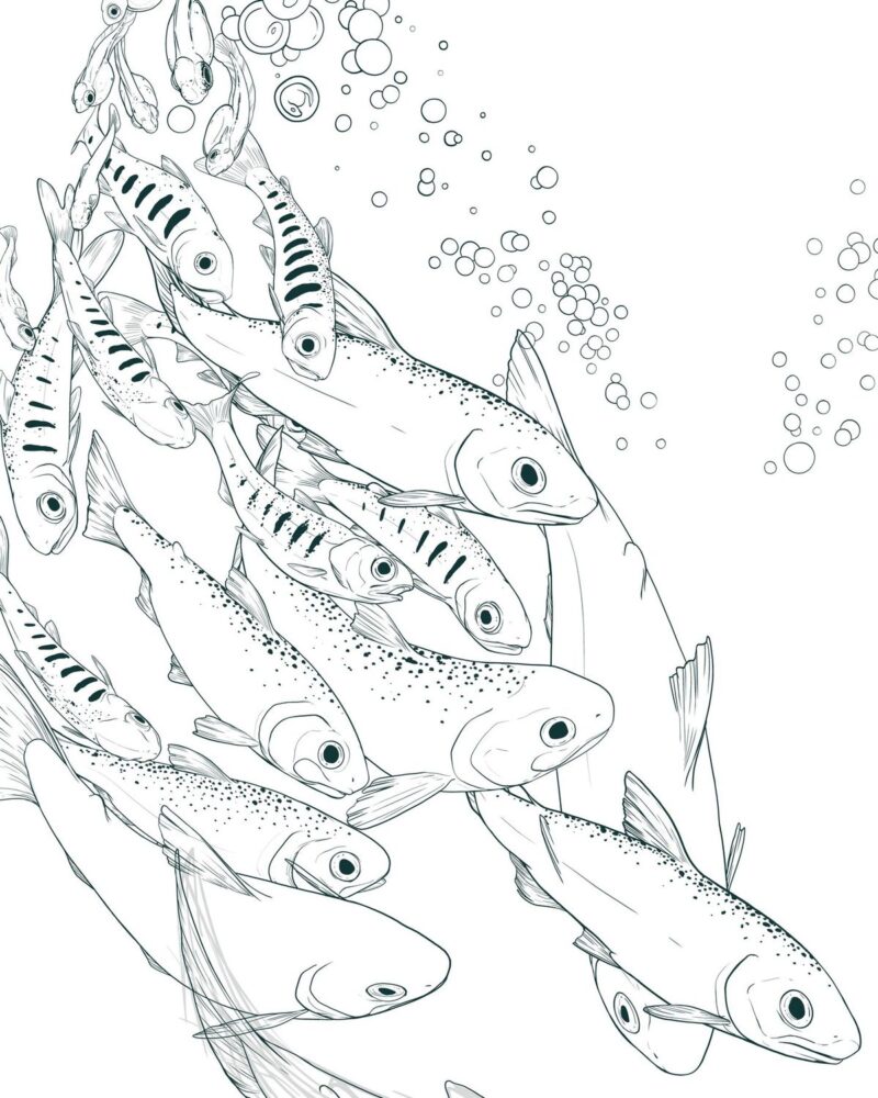 Dynamic Drawing Fish Fish Drawing Ideas: 25+ Beginner Sketches for 2026