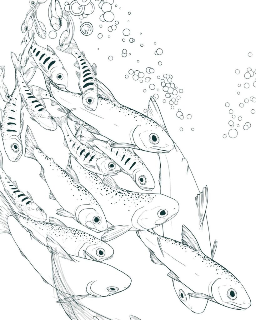 Illustrated school of fish swimming with bubbles, showcasing aquatic life in a detailed, monochrome pen-and-ink style.