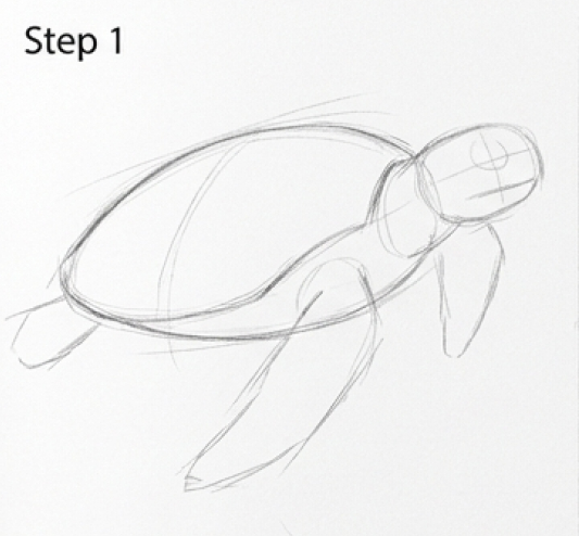 Step 1 pencil sketch of a sea turtle outline showing basic shell, head, and flipper shapes for drawing tutorial