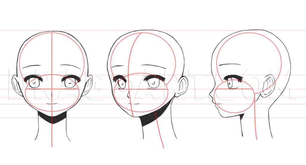 Anime character head guide with three views—front, three-quarter, and profile. Red guidelines for facial proportions and symmetry.