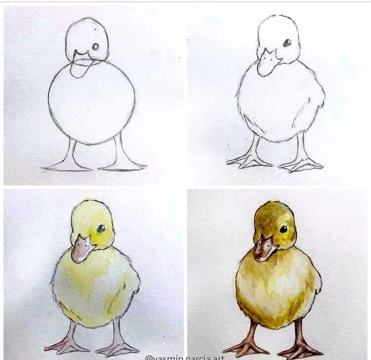 Step-by-step duckling drawing tutorial: sketch to full color. Learn to draw and paint a cute duckling for beginners.