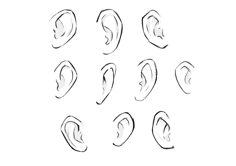Sketches of ears in various styles and angles, showcasing artistic diversity in ear drawing techniques. Monochrome illustration.