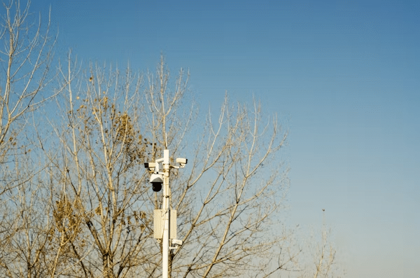 Surveillance camera on a pole with leafless trees in the background under a clear blue sky.