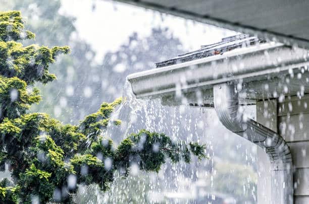 Heavy rain overflowing from house gutters beside a lush green tree, illustrating drainage issues during a storm.