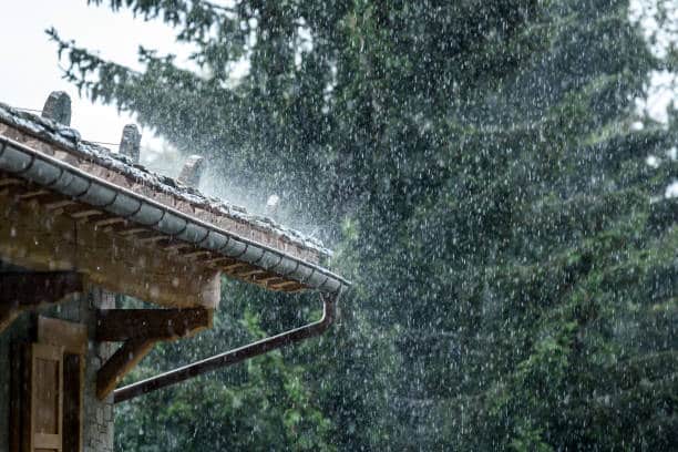 Rain pours from a house roof gutter surrounded by lush green trees, capturing a serene and rainy day in the forest.