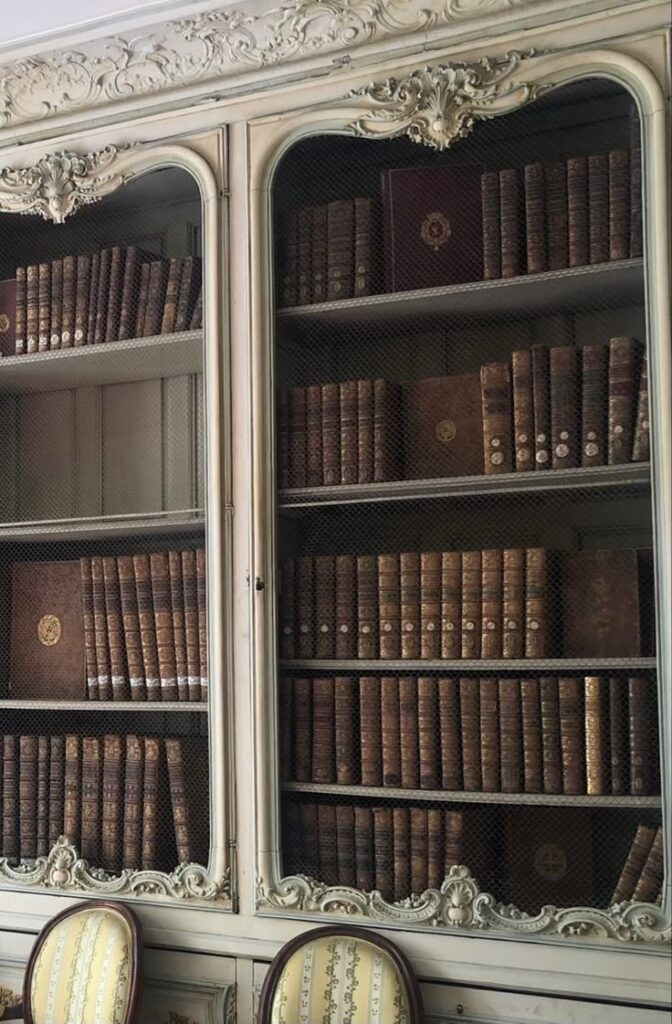 Ornate bookshelf filled with vintage leather-bound books in an elegant room, showcasing historical literature and classic design.