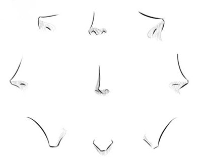 Illustration of various nose shapes, showcasing diversity in profiles from different angles. Ideal for art and anatomy reference.