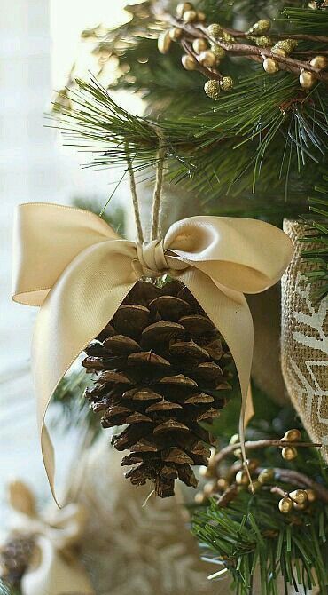 Pine cone ornament with a gold ribbon hanging from a green Christmas tree branch, adding a rustic and festive holiday touch.
