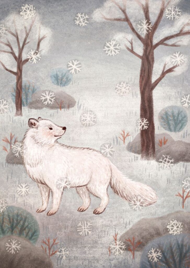 susanne draws Arctic fox grizzly bear and arctic hare christmas_ Illustrated white fox standing in a snowy forest with bare trees and falling snowflakes, capturing a serene winter scene. | Sky Rye Design Illustrated white fox standing in a snowy forest with bare trees and falling snowflakes, capturing a serene winter scene.