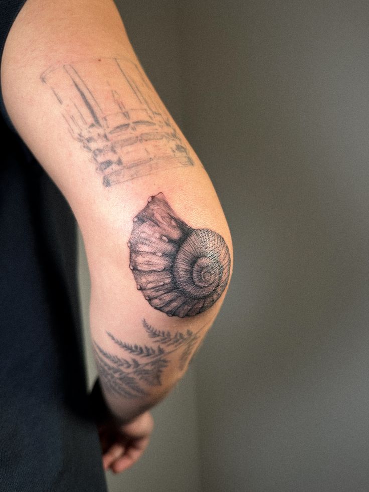 textured fossil tattoo on elbow Arm showcasing detailed ammonite tattoo alongside abstract and fern designs. | Sky Rye Design Arm showcasing detailed ammonite tattoo alongside abstract and fern designs.