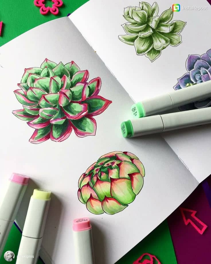 Sketchbook with colorful succulent drawings and markers on a vibrant background.