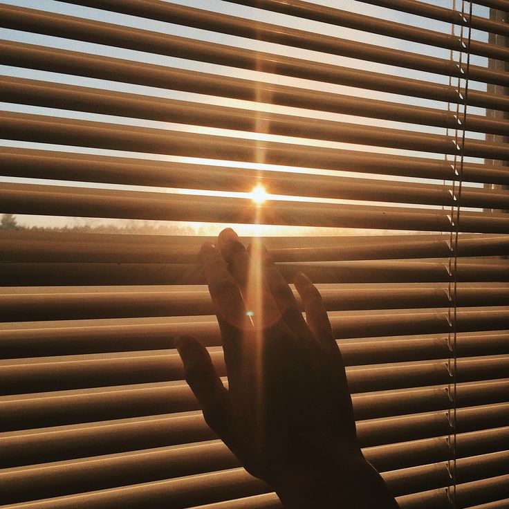 Hand touching window blinds, sunlight streaming through, creating a warm, cozy atmosphere. Perfect for themes of morning or relaxation.